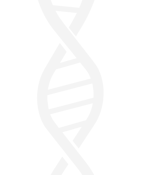 Gut Inflammation (60 Capsules) (Stable BPC-157, KPV, PEA, Tributyrin)